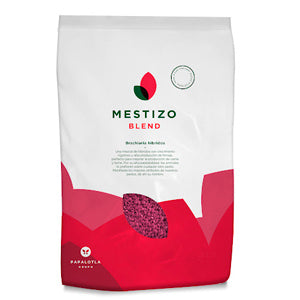 Brachiaria Hibrida Mestizo Blend X 2kg